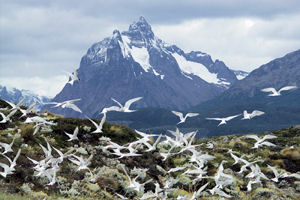 Ushuaia, Argentinien