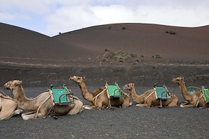 Lanzarote/Kanarische Inseln, Spanien