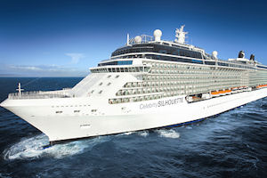 Celebrity Silhouette